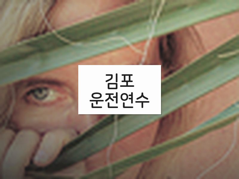 김포운전연수 후기