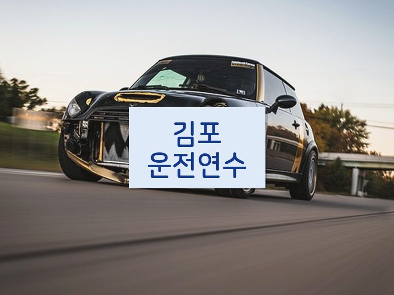 김포운전연수 후기