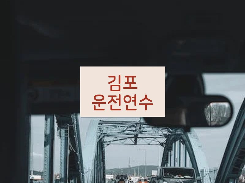 김포운전연수 후기