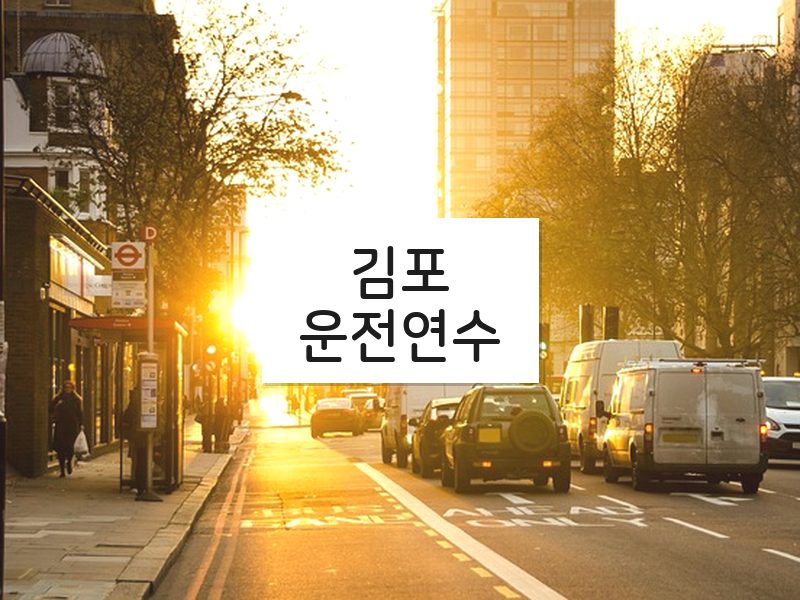 김포운전연수 후기
