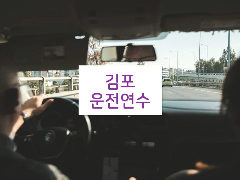 김포운전연수 후기