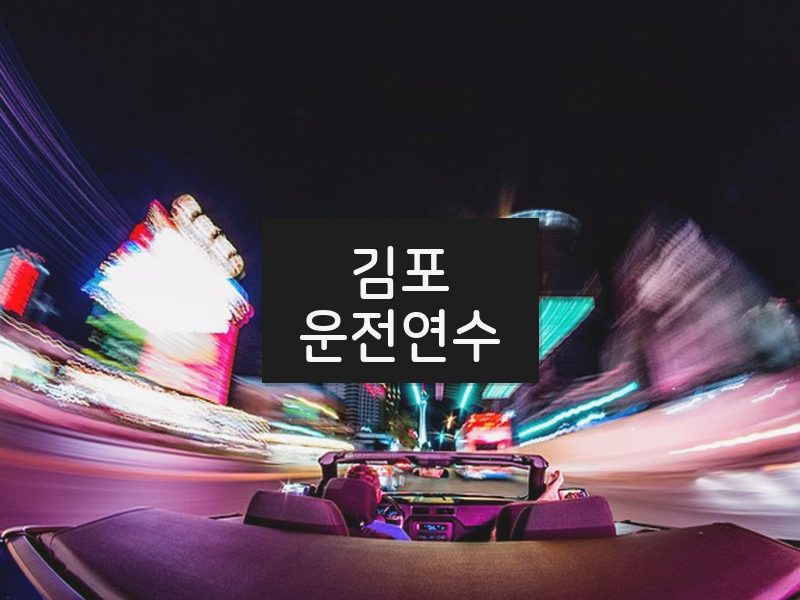 김포운전연수 후기