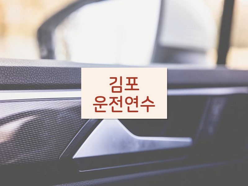 김포운전연수 후기