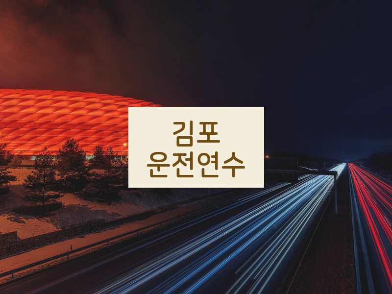 김포운전연수 후기