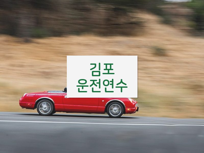 김포운전연수 후기