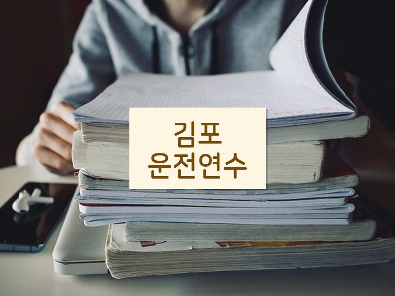 김포운전연수 후기