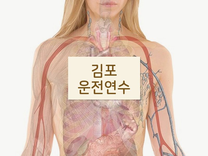 김포운전연수 후기