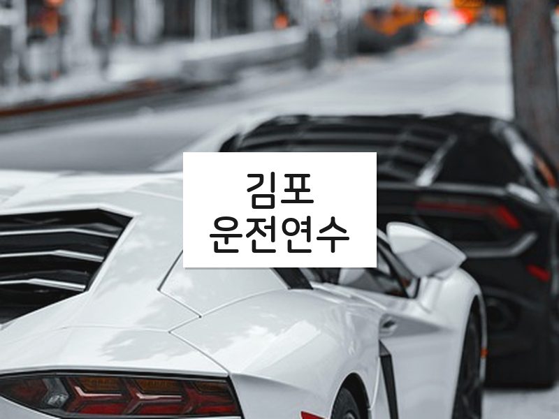 김포운전연수 후기
