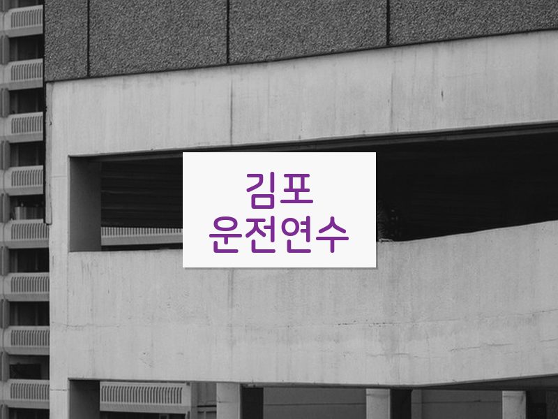 김포운전연수 후기
