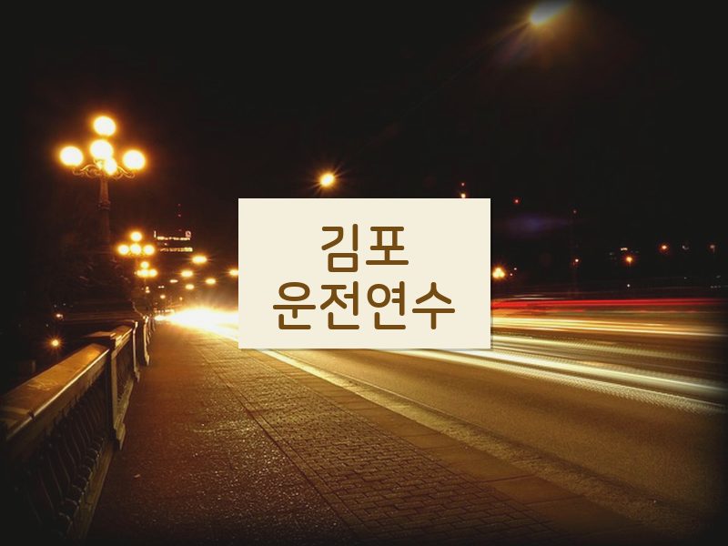 김포운전연수 후기