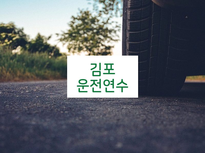 김포운전연수 후기