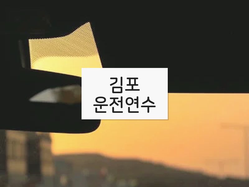 김포운전연수 후기