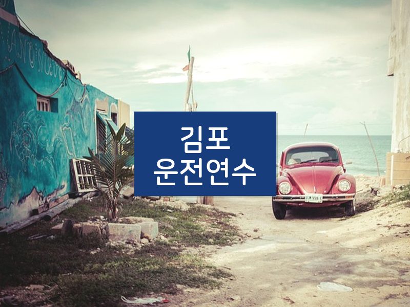 김포운전연수 후기