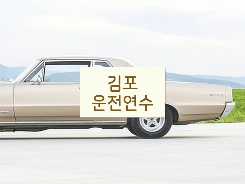 김포운전연수 후기