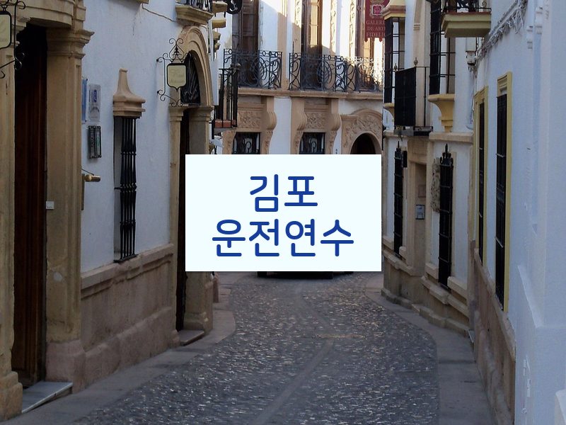 김포운전연수 후기