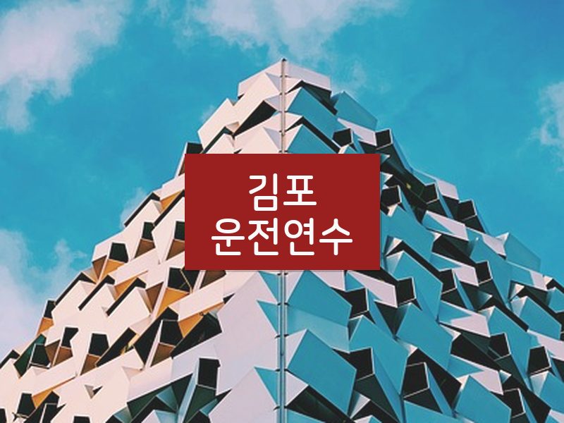 김포운전연수 후기