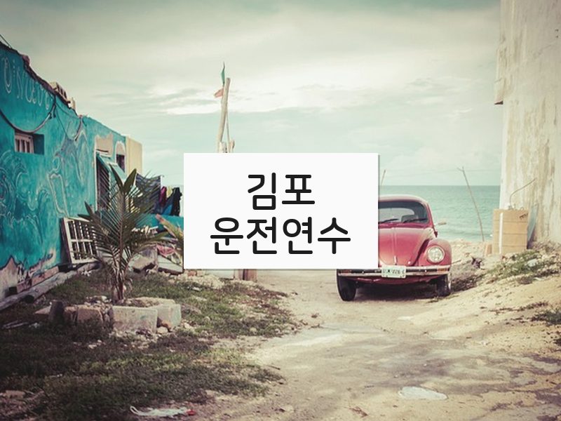 김포운전연수 후기