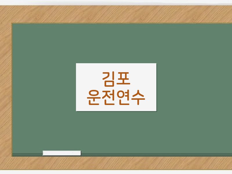 김포운전연수 후기