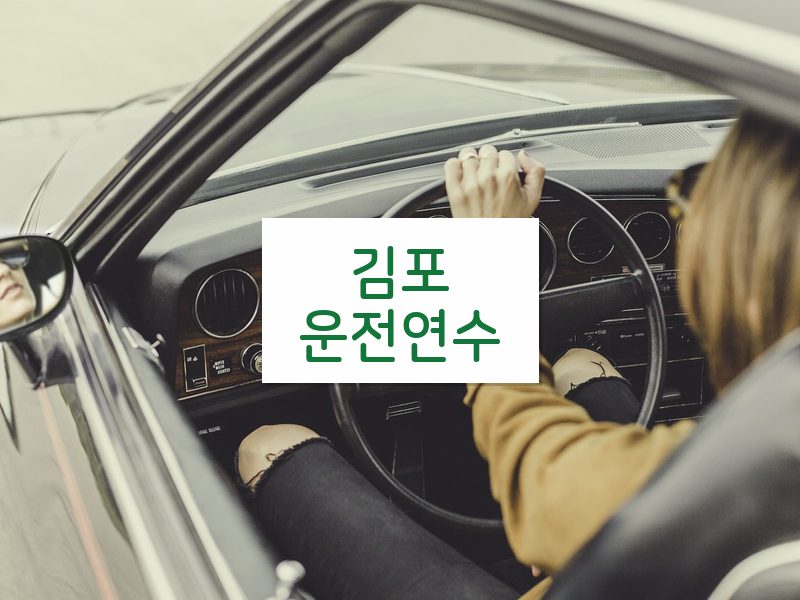 김포운전연수 후기