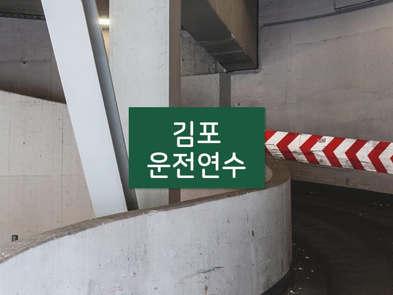 김포운전연수 후기