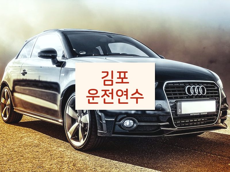 김포운전연수 후기