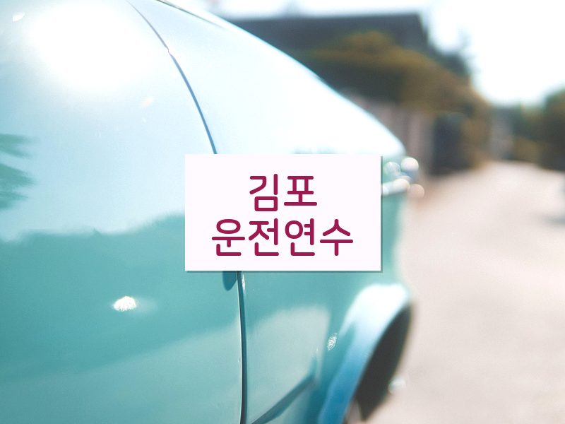 김포운전연수 후기