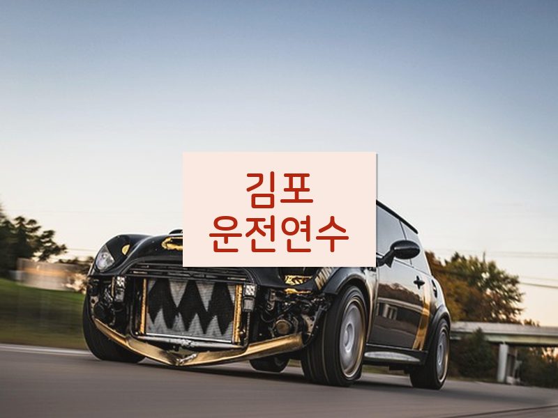 김포운전연수 후기