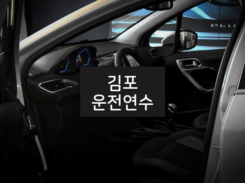 김포운전연수 후기