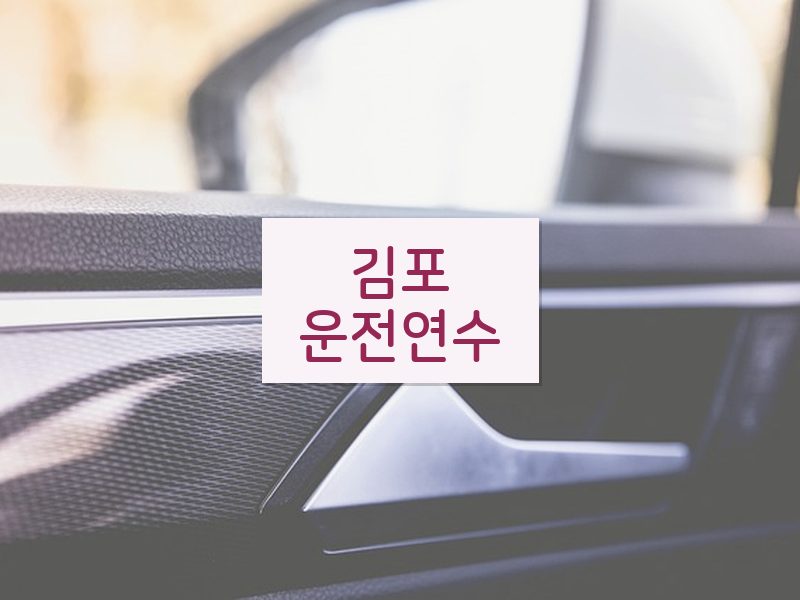 김포운전연수 후기