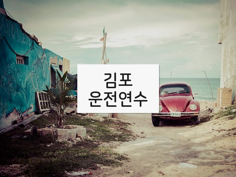 김포운전연수 후기