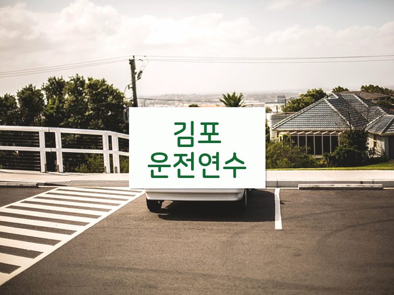 김포운전연수 후기