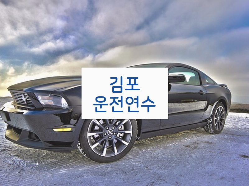 김포운전연수 후기