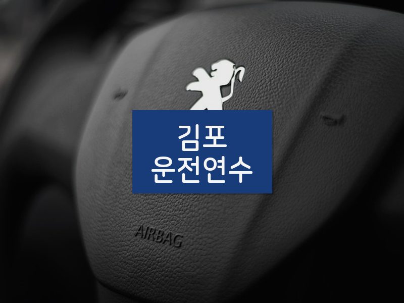 김포운전연수 후기