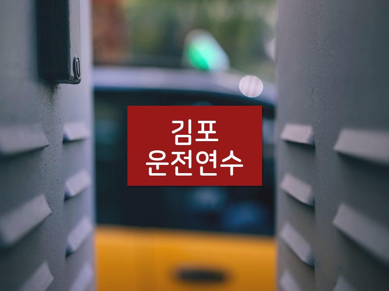 김포운전연수 후기