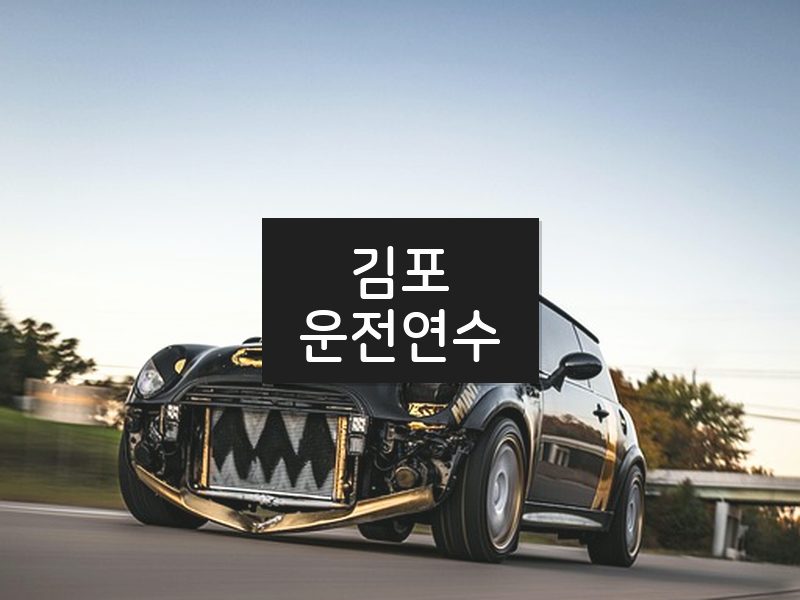 김포운전연수 후기