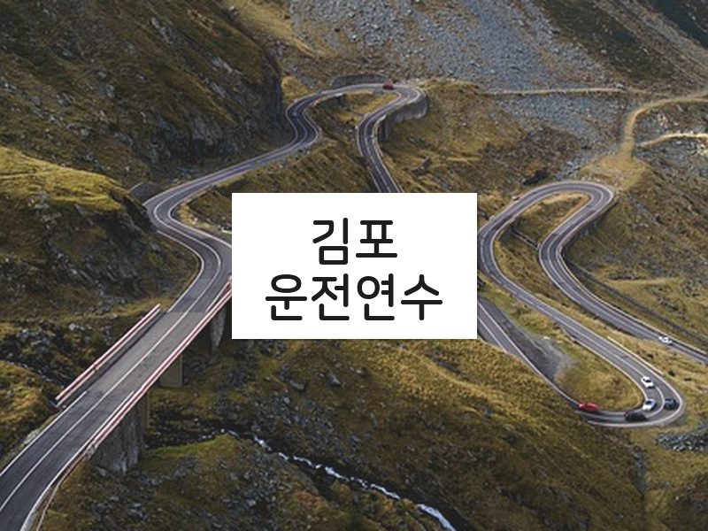 김포운전연수 후기