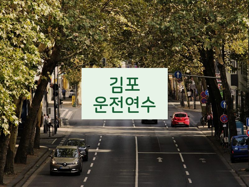 김포운전연수 후기