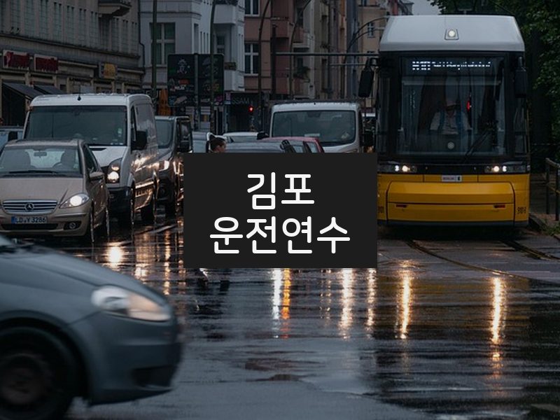 김포운전연수 후기