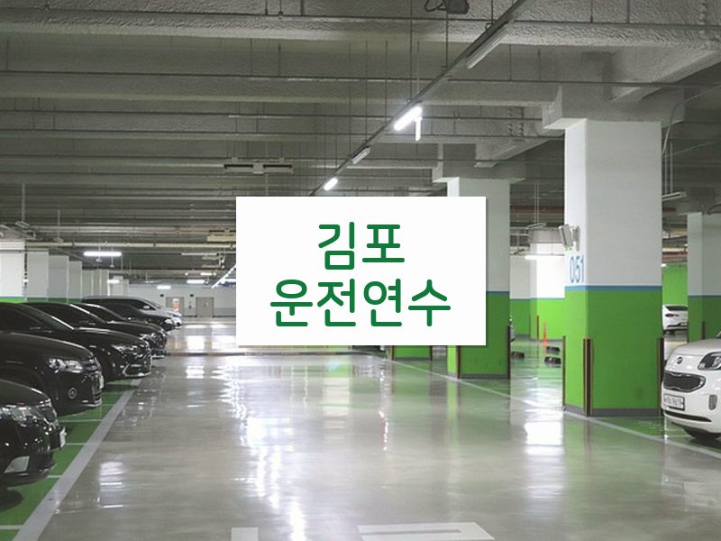 김포운전연수 후기