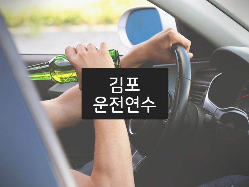 김포운전연수 후기