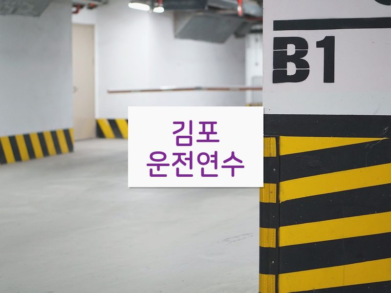 김포운전연수 후기
