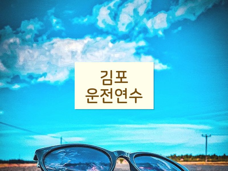 김포운전연수 후기