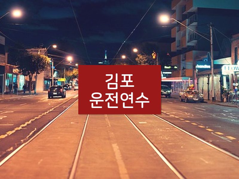 김포운전연수 후기