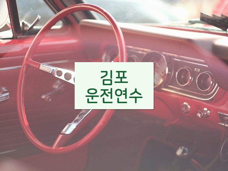 김포운전연수 후기