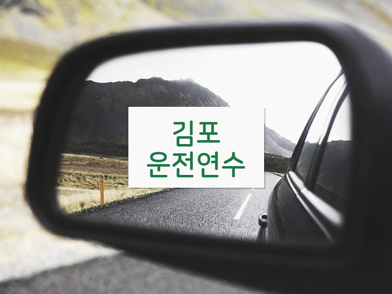 김포운전연수 후기
