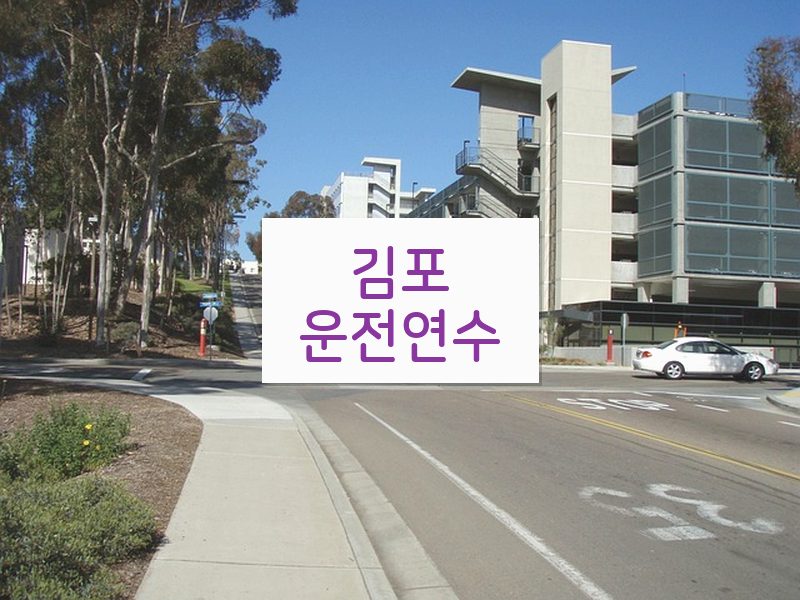 김포운전연수 후기