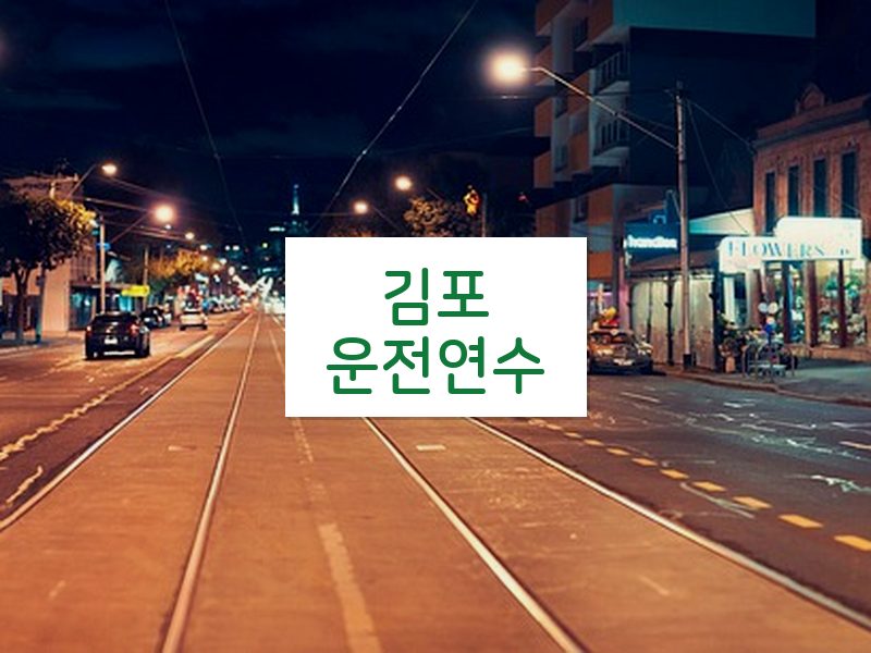 김포운전연수 후기