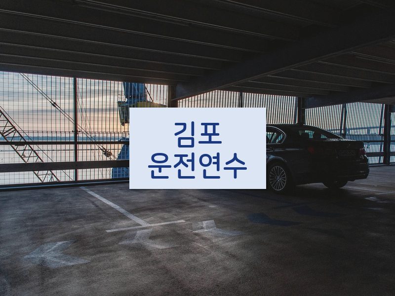 김포운전연수 후기