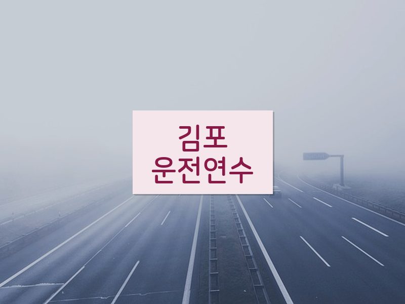 김포운전연수 후기