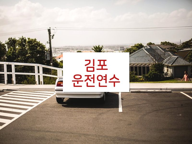 김포운전연수 후기